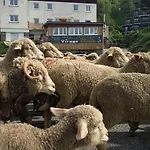 Restaurant Du Virage *
