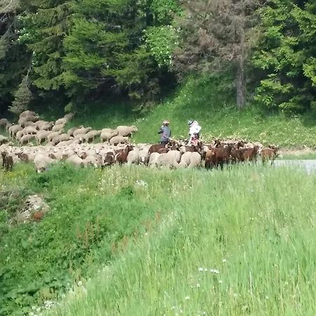Restaurant Du Virage Chamrousse