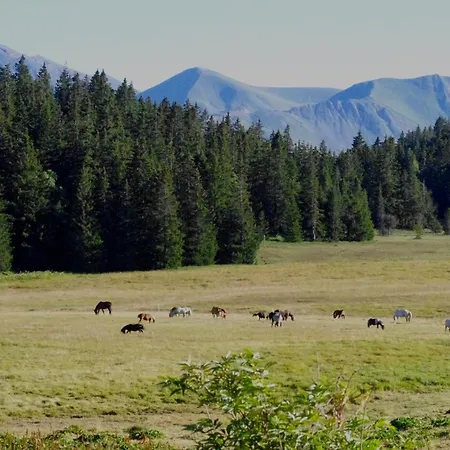 Restaurant Du Virage *