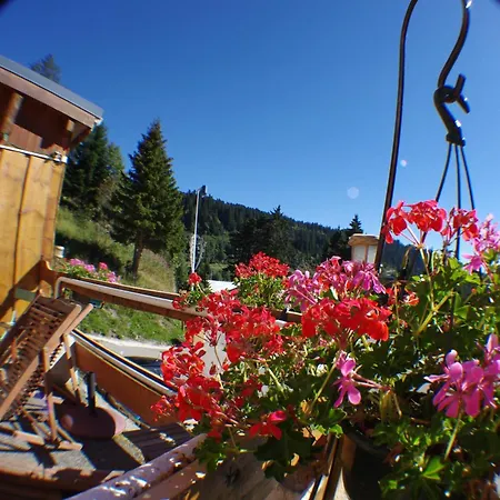 Restaurant Du Virage Chamrousse
