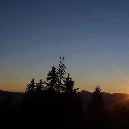 Restaurant Du Virage Hotel Chamrousse
