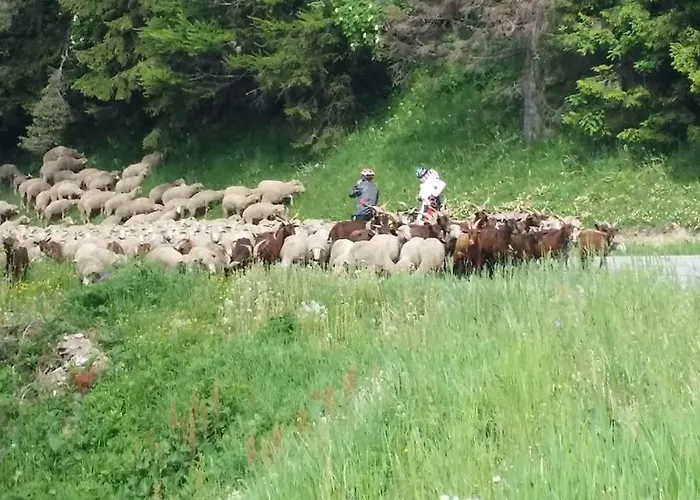 Restaurant Du Virage Chamrousse