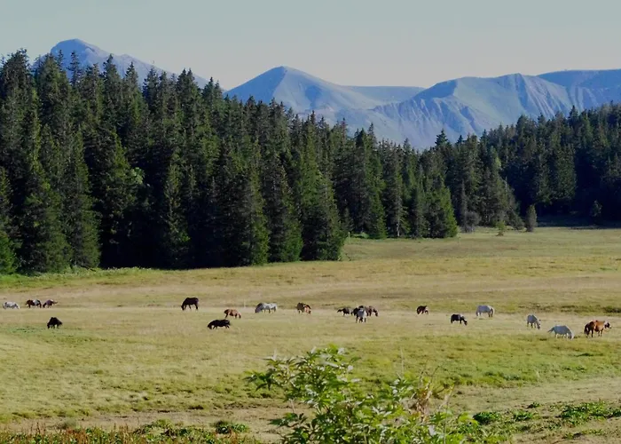 Restaurant Du Virage *