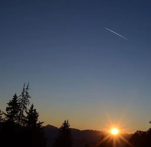 Restaurant Du Virage Chamrousse